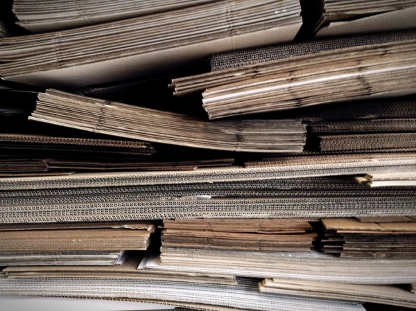 La Riforma del Terzo Settore: un passo avanti o due indietro?